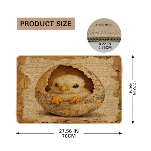 Cute Chick Hatching Doormat, Light Brown Chick Design for Spring & Easter Outdoor & Indoor Entrance Decor, Rubber Waterproof Non-Slip Dust Absorbent Front Mat, Easy to Clean 29x17 Inch