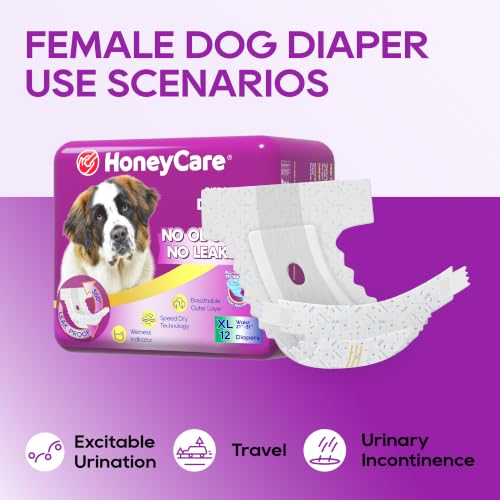 HONEY CARE All-Absorb Disposable Dog Diapers, X-Large - size: X-Large (Pack of 1)