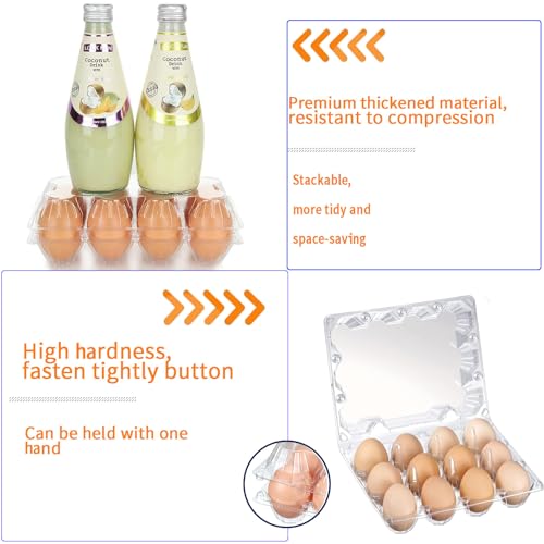 12 Packs Egg Cartons 4x3 Plastic Egg Carton Cheap Bulk 1 Dozen - size: Holds 12 eggs-12Pack
