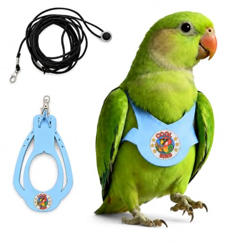 Bird Harness and 3M Elastic Flight Leash, Adjustable Parrot Harness for Budgies, Parakeets, Lovebirds, Cockatiels, Conures, Quaker Parrots, Pigeons(Blue, S) 6350-20 - color: Light Blue, size: S,for Green Cheek and similar size birds