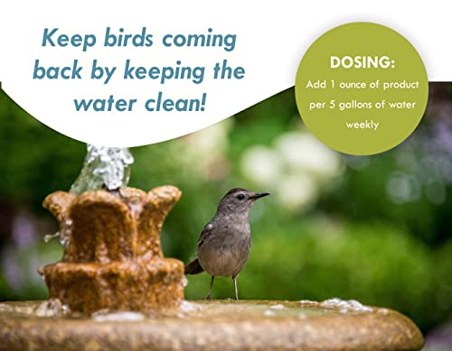 Sanco Bird Bath & Fountain Maintenance, Fast-Acting Enzyme-Based Formula Will Extend The Life of Your Water Feature, Aid in Maintaining a Balanced Ecosystem, 16 oz - size: 16 ounces