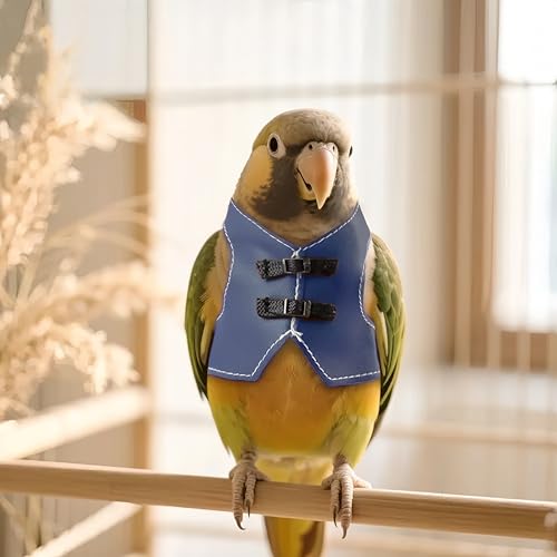 Bird Clothes, Parrot Leather Jacket, Cute Bird Costume Cosplay Photo Prop, Parrot Apparel for Eclectus, Budgerigar, African Greys Parakeet, Conure, Cockatiel, Love Birds-Cowboy Style,Blue,M - color: Blue, size: Medium