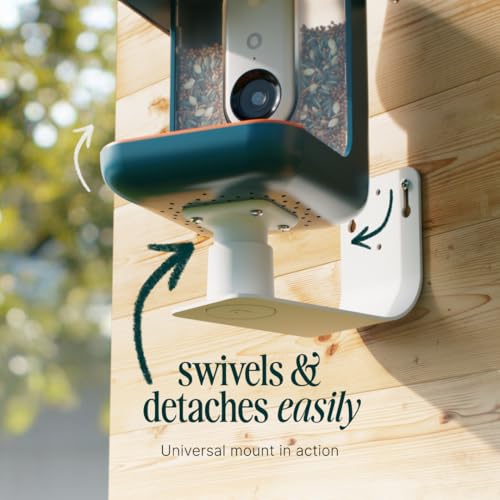 Birdbuddy Wall Mount for Bird Feeders, Walls & Fences, Weatherproof