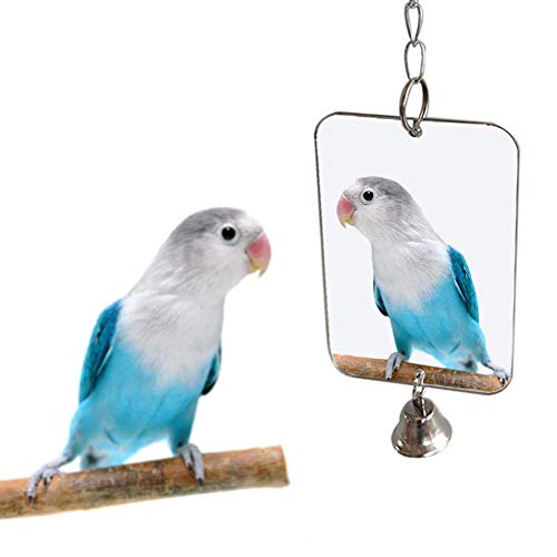 Acrylic Bird Mirror for Small Birds, Parrot Cage Toys 1PC (4.72" x 3.14") – Clear Unbreakable Hanging Mirror Cage Accessory for Parakeet, Cockatiel, Conure, Lovebirds, Budgies - size: 3.14''W * 4.72''H