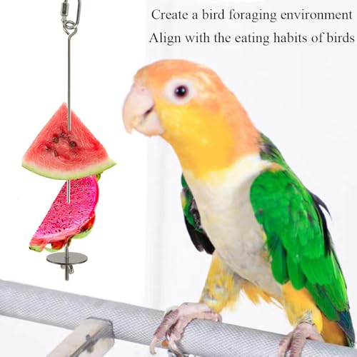2pcs Hanging Bird Treat Skewer Parrot Fruit Feeder with Washer, 11 Inch Stainless Steel Bird Food Holder Parrot Fruit Food Skewer Parakeet Treat Feeder for Parakeet Conure, LXLVOUEG - size: Nut-11inches-2P