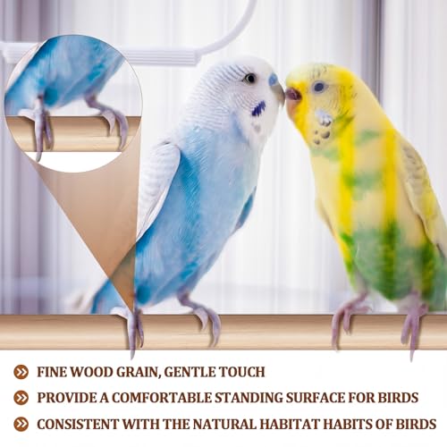 Sintuff 8 Pcs Bird Perches for Cage Accessories, Wooden Perch Rods Replacement with Double Head Slots, 0.6 Inch Diameter Natural Wood Stand for Parrot Macaw Cockatoo Parakeet (15 Inches) - size: 15 Inches