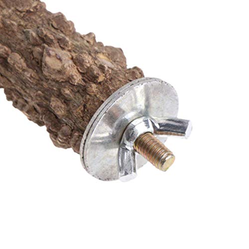 Hypeety Natural Prickly Ash Wood Bird Perch Stand Paw Grinding Perch Toy | Natural prickly ash wood, bark texture for grip, chew-proof and durable, for budgie/parakeet/cockatiel/lovebird, 11.79''/30cm - size: 11.79 inch