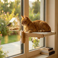 Cat Window Perch with Bird Feeder – Foldable Hammock, Strong Suction Cups for Indoor Cats(Nature) - color: Nature