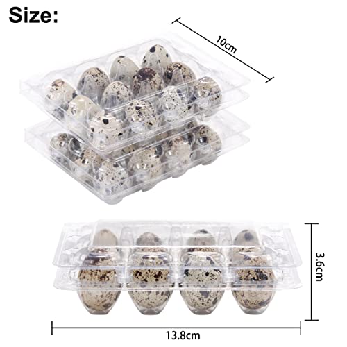 60 Pcs Quail Egg Cartons, Cheap Bulk Plastic Square Dozen Egg Carton | Classical 3x4 Style Holds Up to Twelve 12 Count Small Quail Pigeon Eggs, Boxes Tray Basket Container for Refrigerator