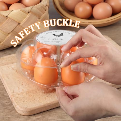 Zhehao 25 Pack Round Egg Cartons with Date Stickers Clear Plastic Half Dozen Egg Cartons Bulk Reusable Holders Fresh Eggs Storage for Family Pasture Farm Markets Display
