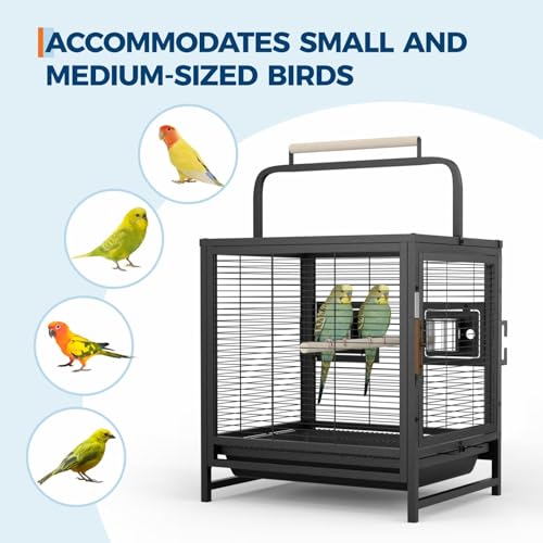 19-Inch Wrought Iron Bird Cage, Travel Carrier for Small Birds, Parrot Cage with Removable Tray & Wooden Perch, Ideal for Parakeets, Cockatiels, Lovebirds, Conures, Budgies, Canaries, Pigeons