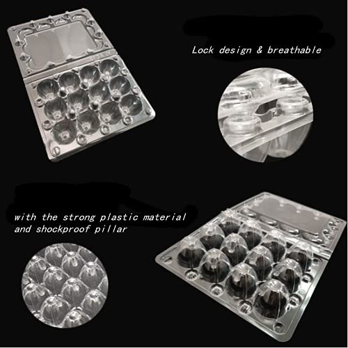 Quail Egg Cartons,12 Grids Small Egg Storage Holders,Quail Eggs Bulk Carton Trays & 2PCS Stainless Steel Cutter