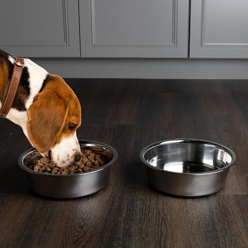 Set of 2 Stainless Steel Dog Bowls - 64oz/8 Cups Food and Water Bowls for Dogs and Cats - Non Slip Metal Pet Dishes for Medium to Large Sized Pets - Puppy Essentials by PETMAKER
