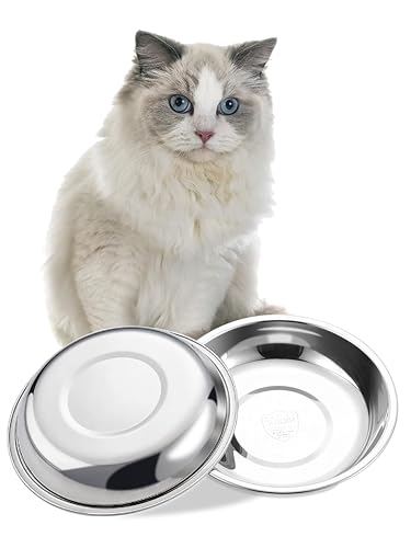 VENTION Stainless Steel Shallow Cat Food Bowl 10.6 Inch, Large Whisker Fatigue Cat Food Dish 60.8 Fl.oz, Replacement Basic Kitten Bowls Bulk for Elevated Stand, Dishwasher Safe (Set of 2) - size: 10 3/5 Inch-Outer Dia.