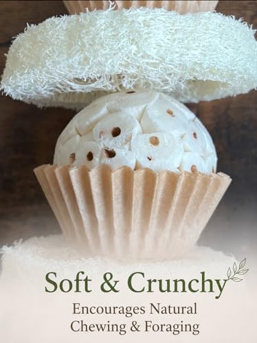 Shred and Destroy Natural Bird Toy - Double Texture Soft & Crunchy - Sola Ball and Loofah Plant - Small Birds - Budgies, Lovebirds - 2 Pack