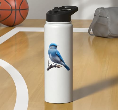 Bird Series. Mountain Bluebird. Stainless Steel Insulated Water Bottle - color: White