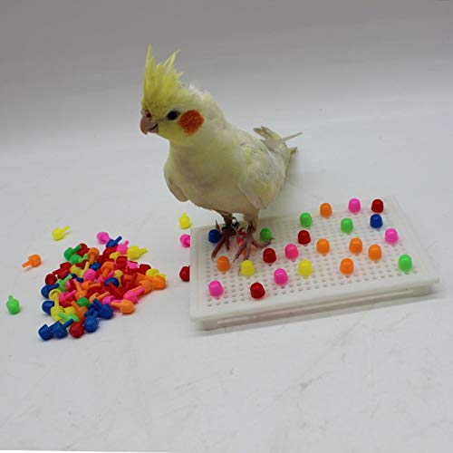 QBLEEV Parrot Puzzle Toys for Parakeets, Cockatiel & Conure - Bird Intelligence Training & Foraging Toys - size: Small