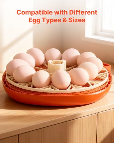VEVOR 12 Egg Incubator, Automatic Egg Turner with LED Candler, Temperature & Humidity Control, 360° View Clear Window, Poultry Eggs Incubator for Home Farm, Hatching Chicks Ducks Goose Quail - size: 12 Eggs