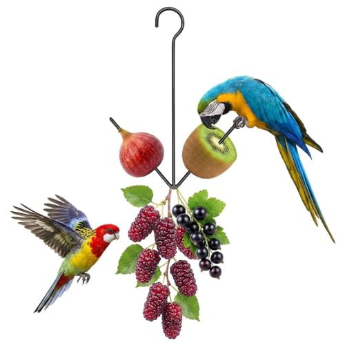 1 Pcs Dual Prong Hanging Bird Feeder, Oriole Feeders for Outdoors Hanging | Fruit Jelly Bird Feeder for Outdoors with Hook, Steel Powder Coated Weather Resistant for Garden Patio