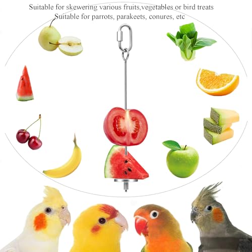 1pcs Hanging Bird Treat Skewer Parrot Fruit Feeder, 13 Inch Stainless Steel Bird Food Holder Parrot Fruit Food Skewer with Washer Nut Parakeet Treat Holder Feeder for Parrot Budgie Conure, LXLVOUEG - size: Screw-13inches-1P
