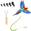 Parrot Bird Harness Leash Anti-bite Outdoor Flying Training Rope with 5pcs Different Sizes of Soft Foot Loops and Training Whistle(Upgraded Version of Ankle Ring)
