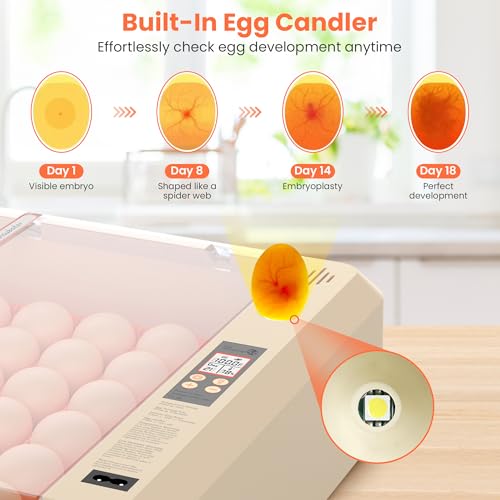 Egg Incubator with Auto Turning and Humidity Control, 36-60 Eggs Hatcher with External Drawer Water Tank, Adjustable Space for Chicken Duck Goose Quail Turkey Eggs, Orange