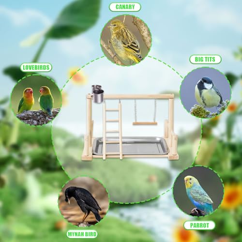 Bird Playground, Natural Wood Bird Perch Stand with Removable Tray and 2 Stainless Steel Feeder Cups, Parrot Playstand Bird Cage Toys for Conure Parakeet Cockatiel Parrot (B) - color: B