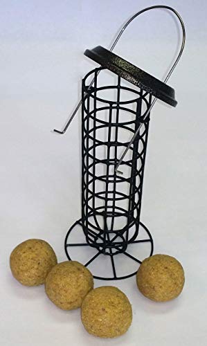 Gardener's Supply Company Suet Ball & Bird Feeder Set | Durable Powder-Coated Steel Design Attracts Birds | Includes 4 Peanut-Blend Suet Balls, Black