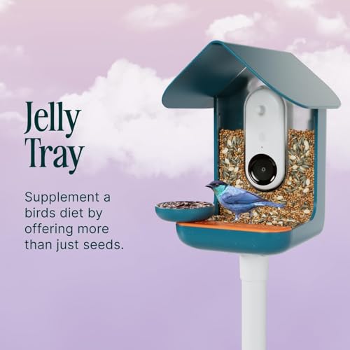 Birdbuddy 3-in-1 Nutrition Set with Water Fountain, Fruit Spike & Tray - size: 3-in-1 Nutrition Set