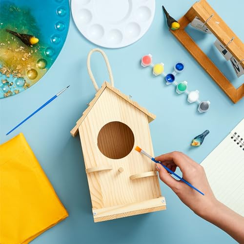 Liliful 2 Pack Wooden Birdhouse Kit for Kids and Adults, DIY Painting Set & Real Outdoor Birdhouse, Durable Craft for Garden, Classroom, Birthday Gifts Ages 3-5 4-8 8-12