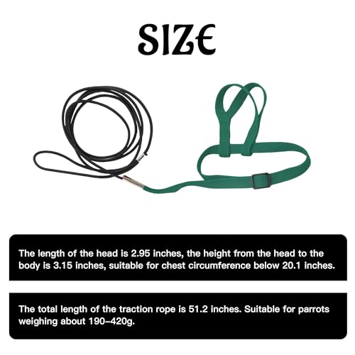 2 pcs Pet Parrot Bird Harness and Leash, Adjustable Training Design Anti-Bite, Outdoor Flying Training Rope Kit for Bird Parrots Fits Birds Chest Between24-51cm /9.45-20inch - M (Green) - color: green, size: Small