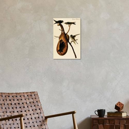 ART.COM Wall Art Print Purple Martin by John James Audubon, 16" x 24" - color: Print Only, size: 24"L x 16"W, style: Unframed