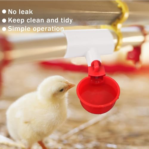 40 Pieces Chicken Waterer PVC Tee Fittings, Automatic Poultry Waterers PVC Fittings for 1/8" FTP Threads, Chicken Water Drinker and Feeder Cups for Poultry Nipples Chicken - size: 40