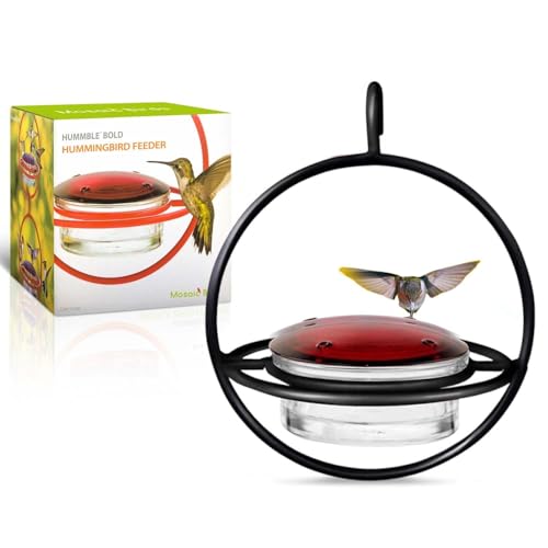 Hummingbird Feeder for Outdoors Hanging, 3.4 OZ Hummingbird Feeders, Glass Bowl with 4 Feeding Ports, Leak Proof Lid & Circular Perch, Bird Feeder (1, Black) - color: Black