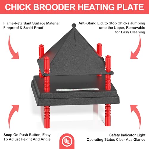 Chick Brooder Heating Plate with Anti Stand Cone, Fixed Temp, 10"x10" Black | Adjustable Height Brooder Heater for Chicks, Downward Heat Distribution for Outdoor Barns & Coops - size: 10" x 10"