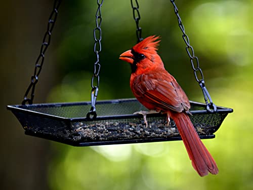 2 Pack Hanging Bird Feeder Tray Platform Metal Mesh Seed Tray for Bird Feeding Outdoor Garden Decoration for Backyard Attracting Wildbirds
