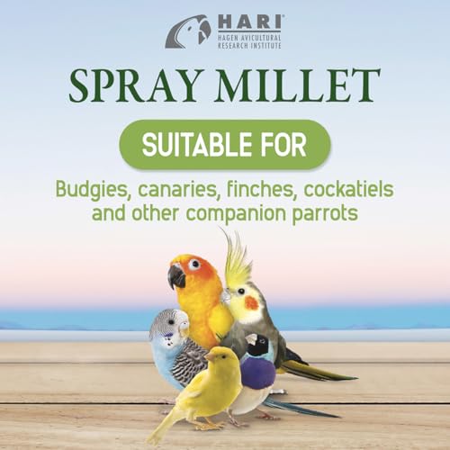 Living World – Millet Spray for Birds,7 Oz – Premium Treat for Budgies,Canaries,Finches,Cockatiels and Other Pet Birds,(Pack of 2) - size: 7 Ounce (Pack of 2)