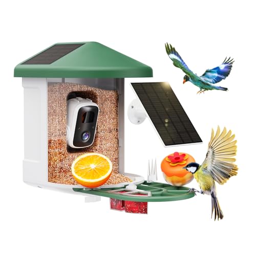 Smart Bird Feeder with Camera - AI Identify Birds Species, Solar Powered Bird House with Cam, 2L Large Capacity, 2K HD Video Live Stream, Instant Arrival Alerts - Green - color: Green