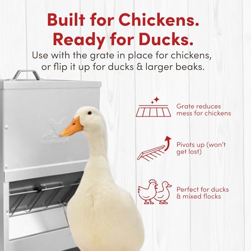 RentACoop 25lb Gravity-Fed Metal Trough Feeder with Lid & Rain Cover - size: 25LB Capacity
