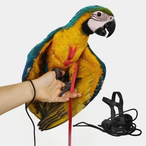 Adjustable Bird Harness with 78.7 Inch Leash, Outdoor Flying Training Rope Kit for Bird Parrots, Parrot Flying Rope Straps Outdoor Training Traction Rope for Small Medium Large Size Birds (L) - size: L