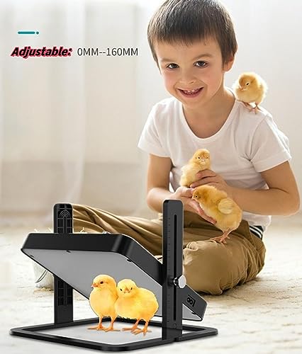 Brooder Heater for Chicks with Easy- Cleaning Chick Brooder Heating Plate, Poultry Coop Heater Chicks with Adjustable Height Brooding Heater 45°C-70°C (Black)