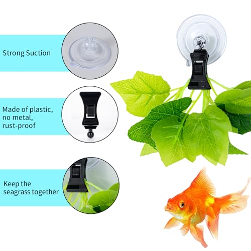 SLSON Fishes Veggie Seaweed Plant Suction Cup Clip Feeding Tool Feed Holder Aquarium Accessories for Fish Tank Fish Feeder Clips (6Pack Black) - color: 6Pack Black