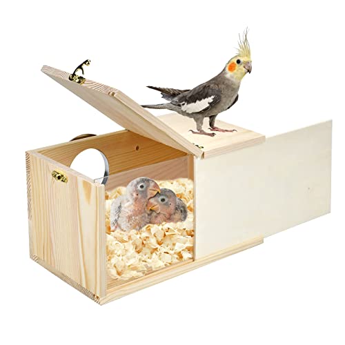 Parakeet Nesting Box Cockatiel Nesting Natural Pine Bird Nest Bird Breeding Box House Acrylic Transparent Bird Box with Detachable Wooden Board for Lovebirds Cockatiel Budgie Conure Parrot L - size: L(10.6*5.9*5.9inch)