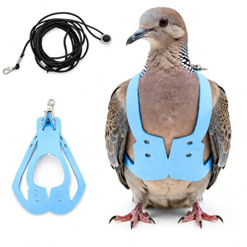 Bird Harness and 3M Elastic Flight Leash, Adjustable Parrot Harness for Budgies, Parakeets, Lovebirds, Cockatiels, Conures, Quaker Parrots, Pigeons(Blue, XL) 6350-29 - color: Light Blue, size: XL,for Mourning Dove and similar size birds