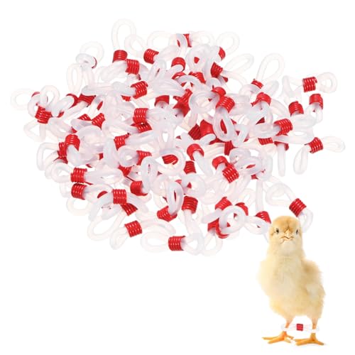M METERXITY 100-Pack Adjustable Chick Leg Bands, 0.79" x 0.2" Silicone Chicken Leg Brace for Chicks/Ducks/Birds [Red] Poultry Leg Bands - color: Red