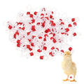 M METERXITY 100-Pack Adjustable Chick Leg Bands, 0.79" x 0.2" Silicone Chicken Leg Brace for Chicks/Ducks/Birds [Red] Poultry Leg Bands - color: Red