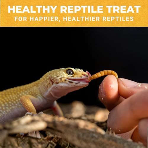 Nature Anywhere Mighty Mealworm | meal worms for wild birds and laying hens, about 52% protein, SGS lab tested, single ingredient, no fillers, resealable