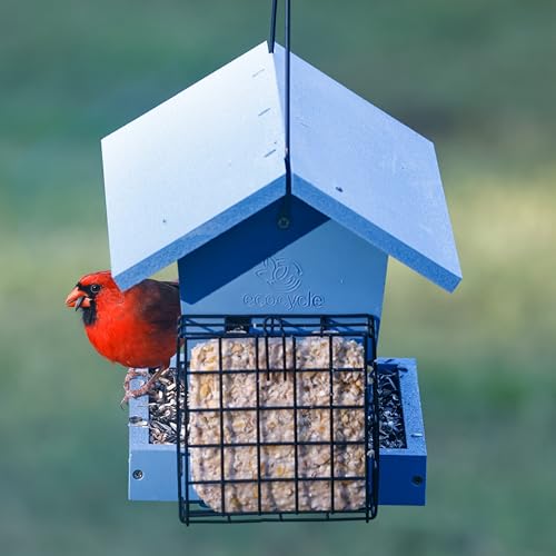 Hopper Hangout Recycled Plastic Hopper Bird Feeder with Latching Suet Cages & Fresh Seed Tray for Wild Birds and Outdoor Décor, 3 Quart Capacity, 2 Suet Cake, Blue