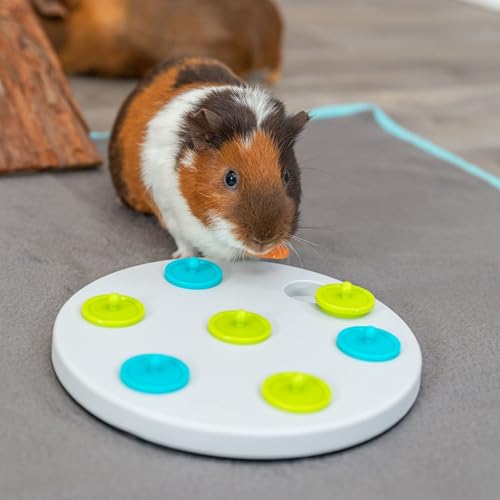 Trixie Rabbit Snack Board, Interactive Toy, Small Animal Puzzle, Mental Stimulation, Rabbit, Ferret, Bunny, Chinchilla