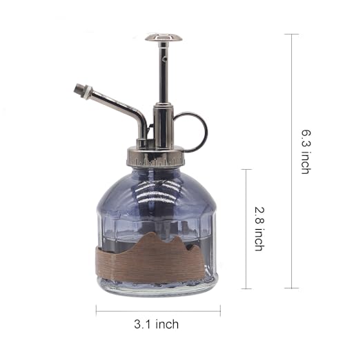 Plant Mister Spray Bottle Vintage Glass Fine Mist Spritzer 6.7OZ | Gray Spray Bottles, Misters Mini Watering Can Glass Sprayer Misting for Garden Plants Indoor Outdoor Decor Cleaning - color: D-Distant Hill